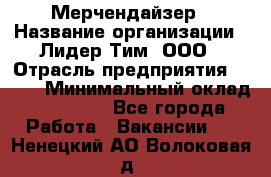 Мерчендайзер › Название организации ­ Лидер Тим, ООО › Отрасль предприятия ­ BTL › Минимальный оклад ­ 17 000 - Все города Работа » Вакансии   . Ненецкий АО,Волоковая д.